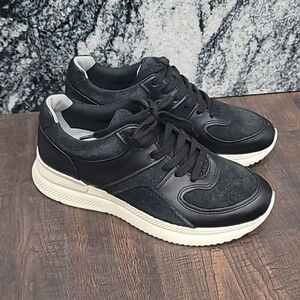 NWOB Everlane The Trainer Sneaker